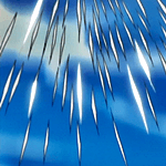 Suzumushi, Crimson Flying Locusts