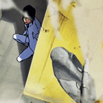 Hide
