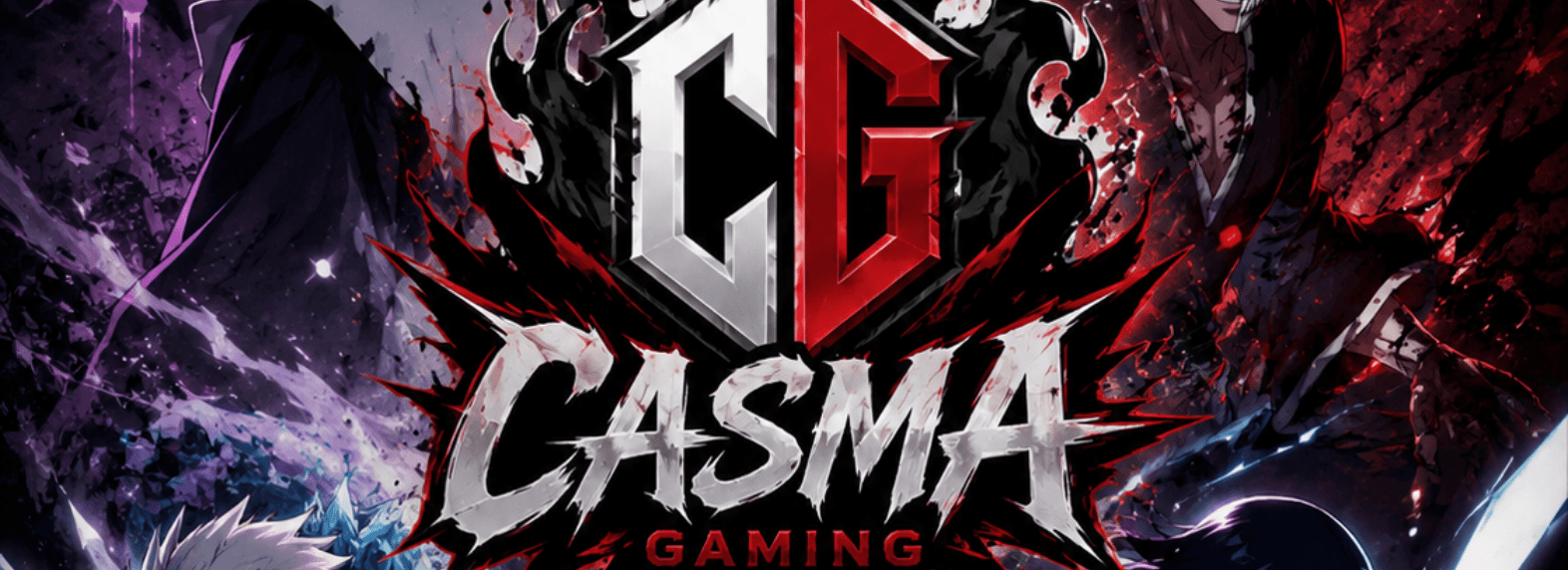 CASMA Gaming profile banner