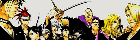 Lieutenants of Gotei 13